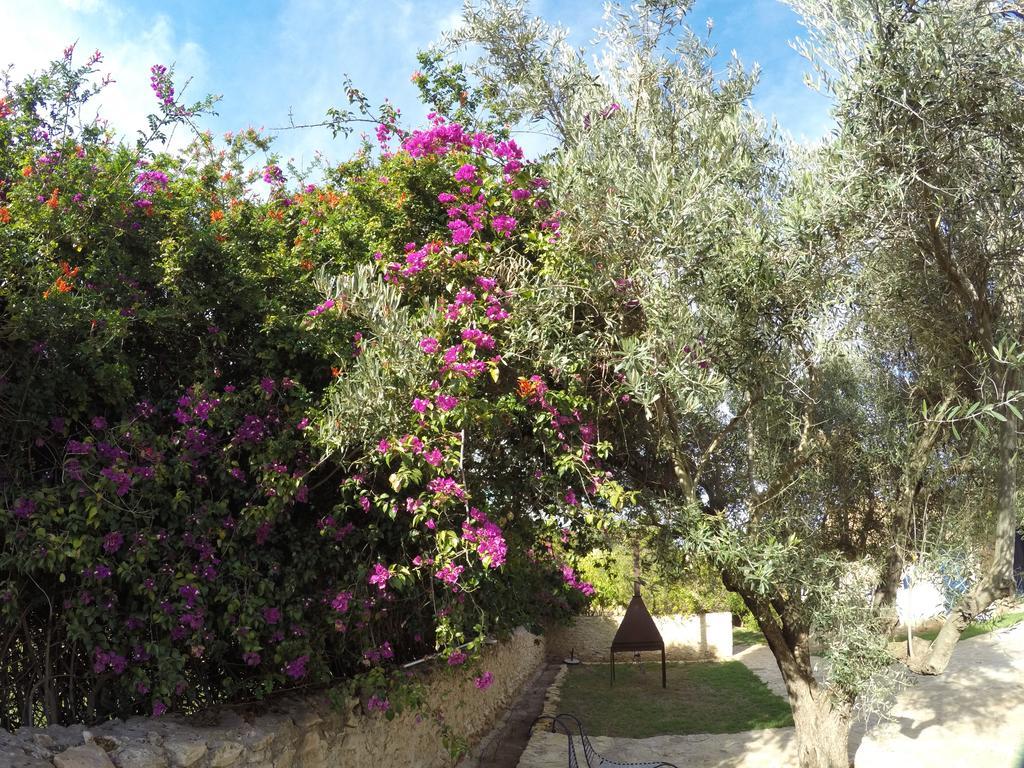 Ryad De Vignes " Le Val D'Argan " Ounara Buitenkant foto