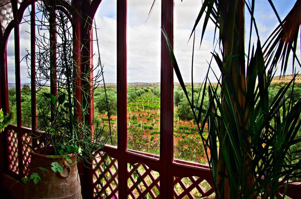 Ryad De Vignes " Le Val D'Argan " Ounara Buitenkant foto